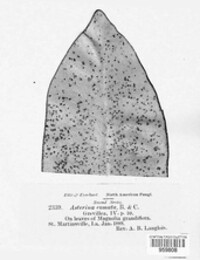 Image Associated With the Occurence